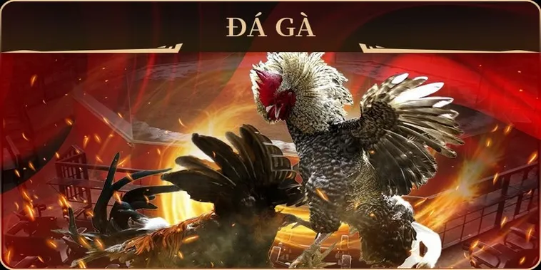 Chinh Phục Đấu Trường Đá Gà GA28 Tại SEN88 Với Chiến Thuật Bất Bại